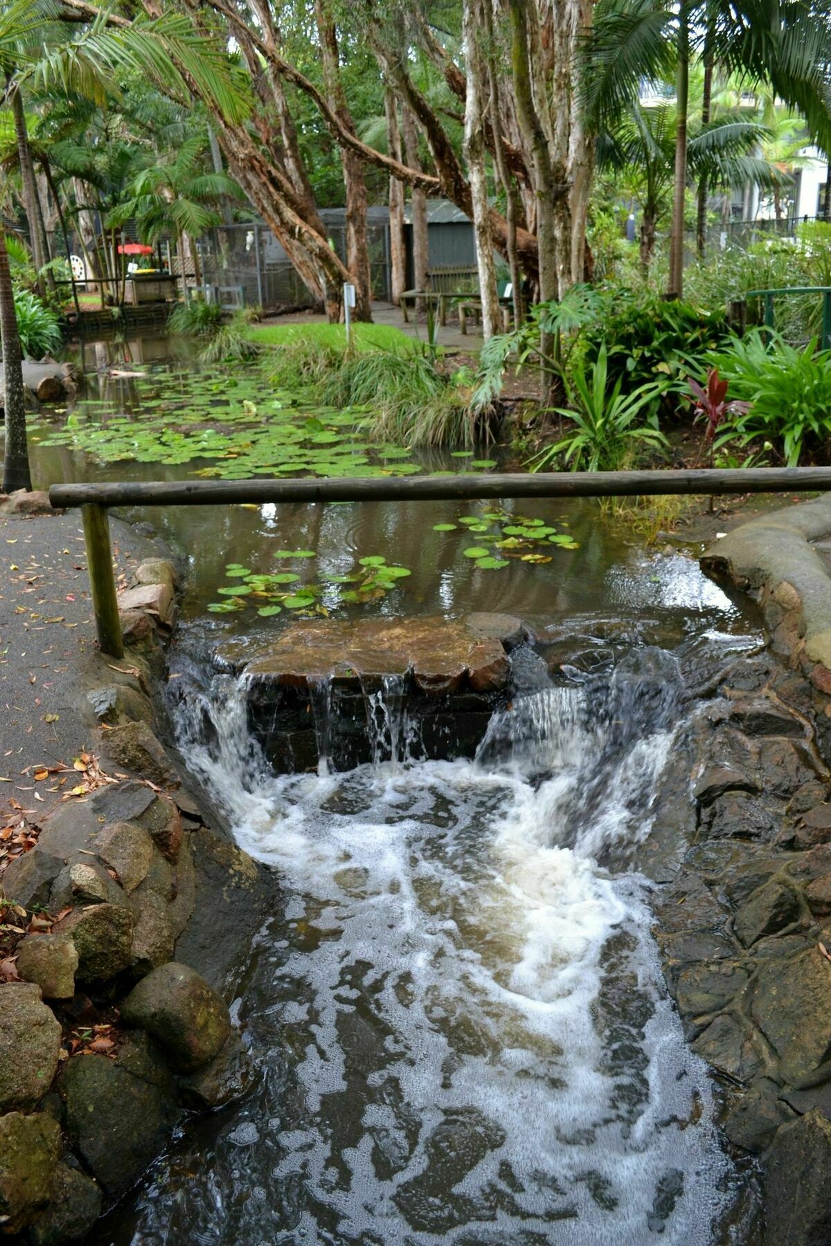 Flynns Beach Resort Port Macquarie Zewnętrze zdjęcie